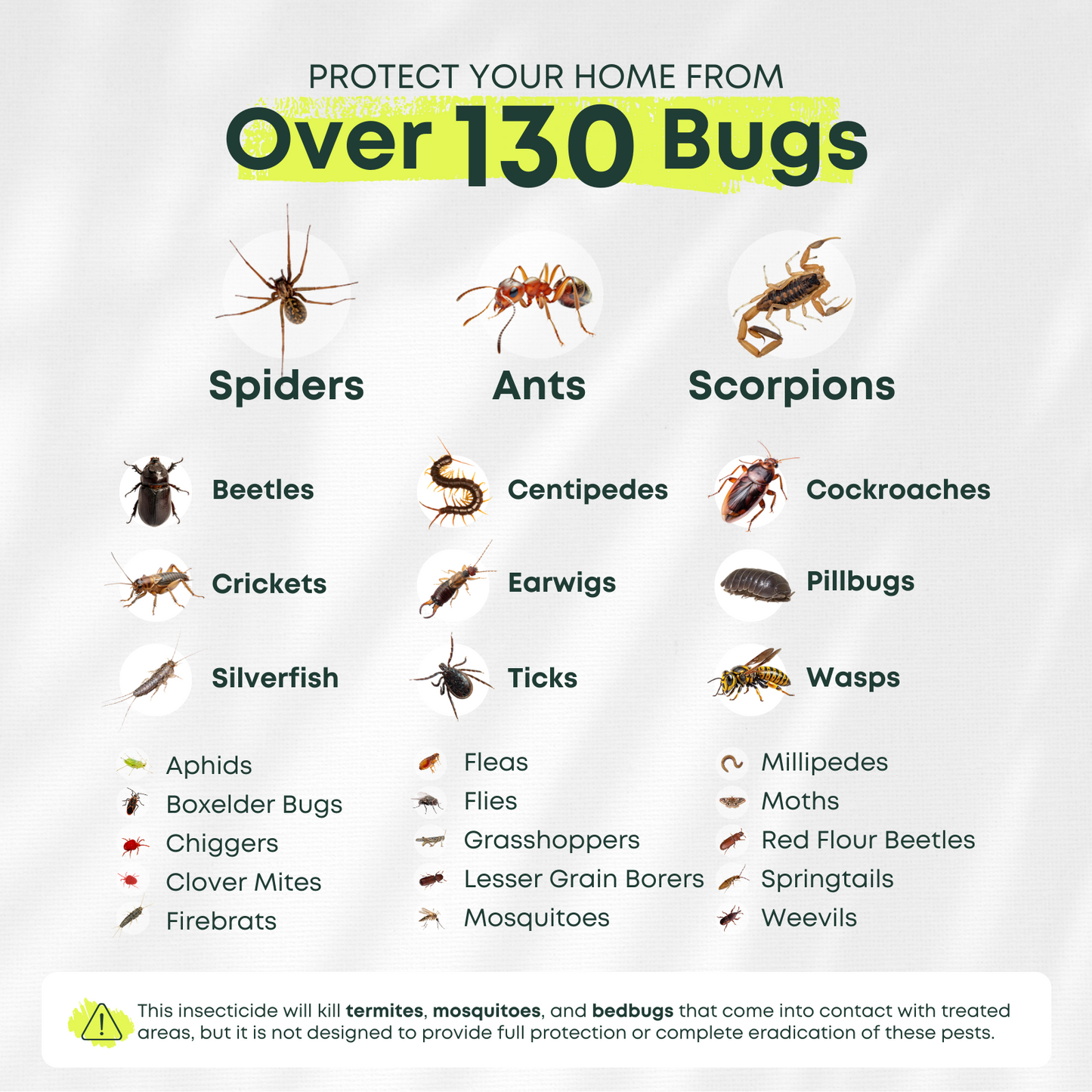 Pro Pest Defense