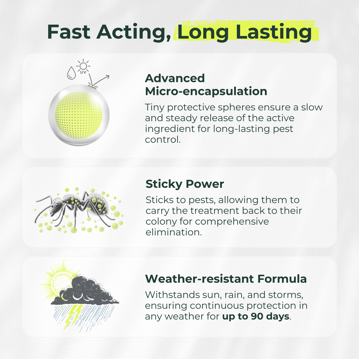 Pro Pest Defense