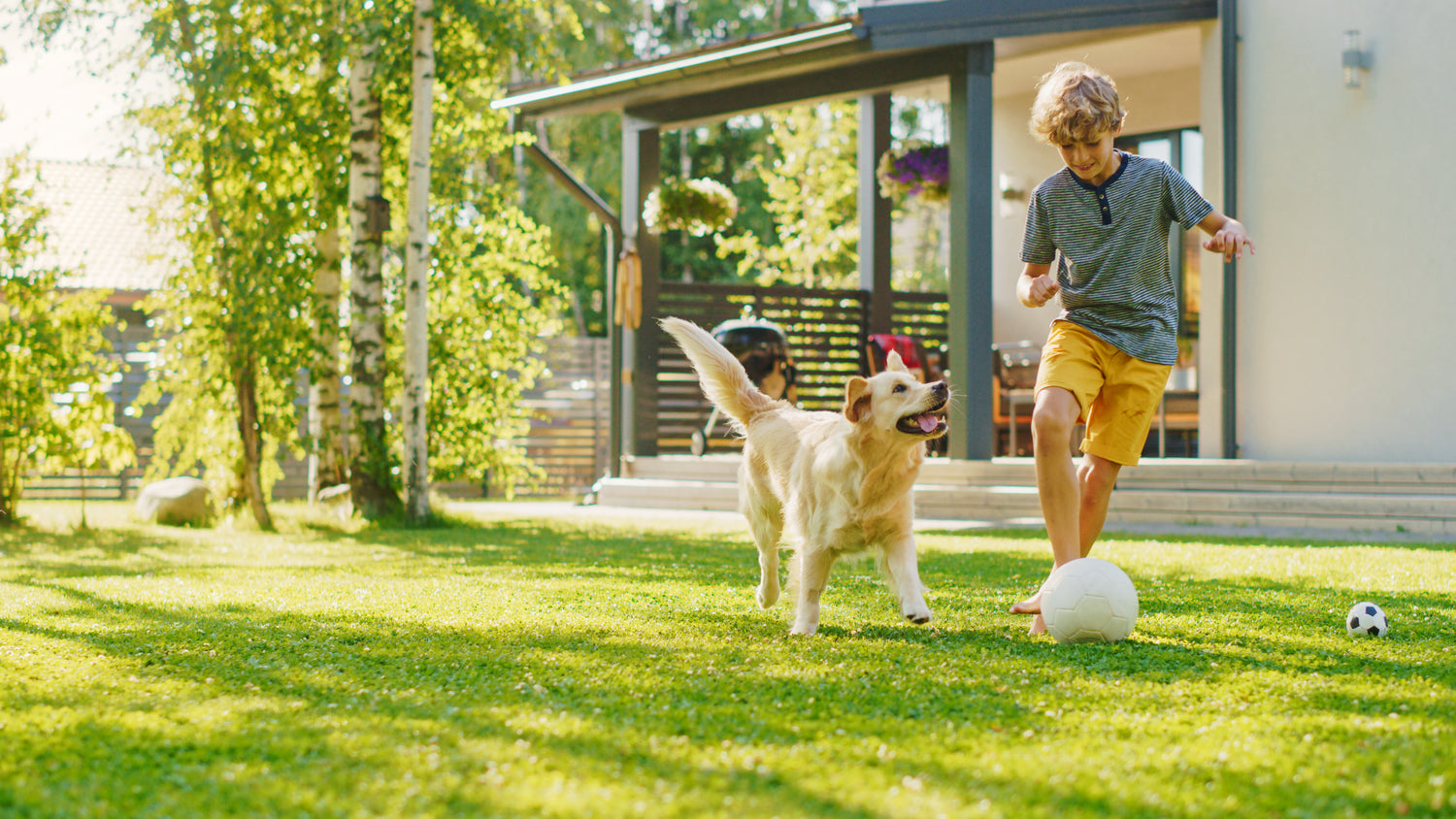 Kid and Pet Safe