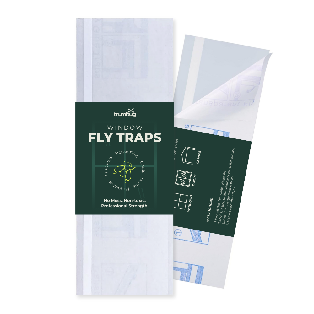 Window Fly Traps
